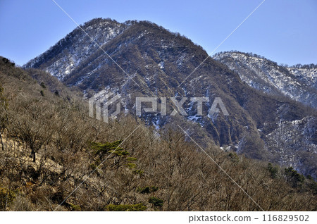 丹澤:從大室山犬越路和檜木洞丸看到的丹澤主脊 丹澤:從大室山犬越路和檜木洞丸看到的丹澤主脊 116829502