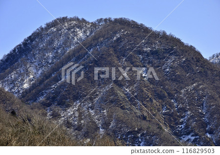 The snow ridge of Okogai seen from Inukoshoji of Mt. Omuroyama in Tanzawa The snow ridge of Okogai seen from Inukoshoji of Mt. Omuroyama in Tanzawa 116829503