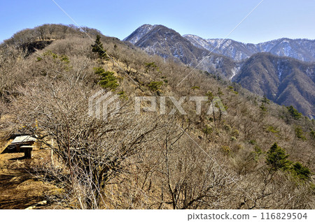 Tanzawa - View of the main ridge of Tanzawa, Okogai and Hinokihoramaru, from Inukoshoji of Mt. Omuroyama Tanzawa - View of the main ridge of Tanzawa, Okogai and Hinokihoramaru, from Inukoshoji of Mt. Omuroyama 116829504