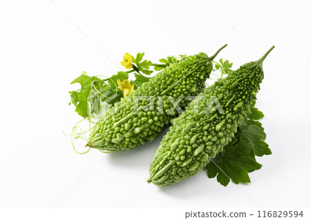 白色背景上的苦瓜 116829594