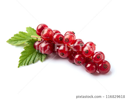 Red currant with leaves on white backgrounds 116829618