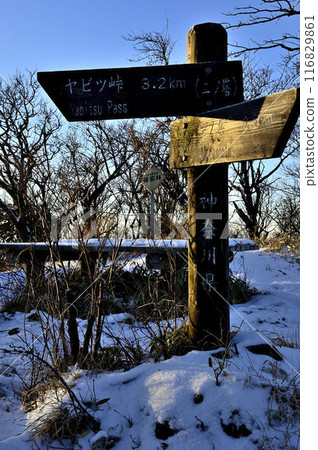 Morning sun shines on the summit of Mt. Ninoto in Tanzawa. Morning on the snowy peak. 116829861