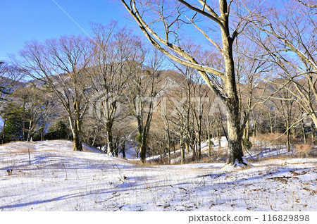 Tanzawa Mountains in the harsh winter: View of Sannoto from Yomogi-daira in the snowy fields 116829898