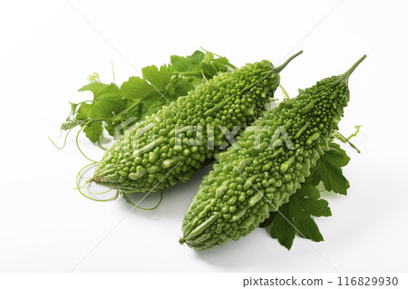 白色背景上的苦瓜 116829930