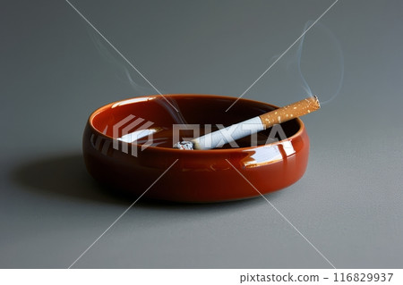 A Half Smoked Cigarette Resting In A Brown Ashtray With Smoke Rising A Half Smoked Cigarette Resting In A Brown Ashtray With Smoke Rising 116829937