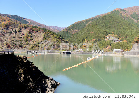 Okutama湖秋葉 Okutama湖秋葉 116830045