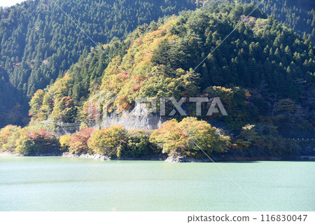 Autumn leaves of Okutama Lake 116830047