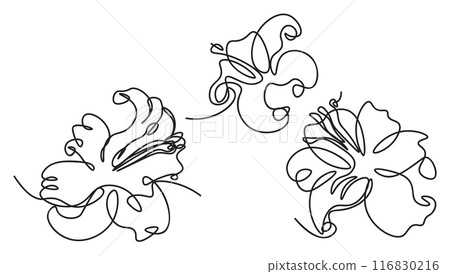 Single line art lily flower 116830216