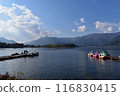 Lake Yamanaka and swan boats 116830415