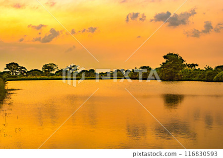 A breathtaking sunset paints the sky in fiery hues, casting a golden glow on the tranquil lake. A breathtaking sunset paints the sky in fiery hues, casting a golden glow on the tranquil lake. 116830593