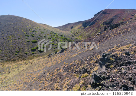 Mount Myoko and Mount Yakushi of Mount Iwate 116830948