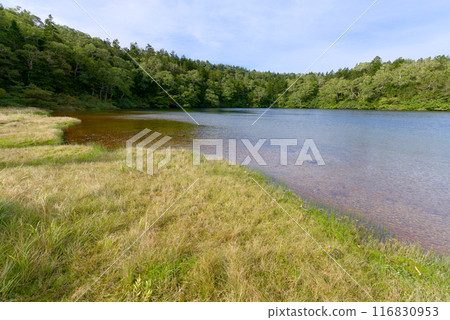 Onaedai湖 116830953