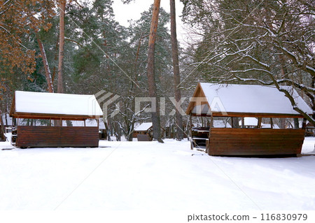 Wooden gazebos for a picnic in a quiet winter forest with benches,tables 116830979