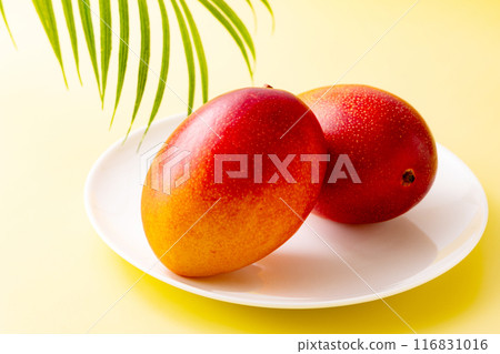 Fresh fruit mango Fresh fruit mango 116831016