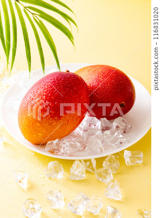 Fresh fruit mango 116831020