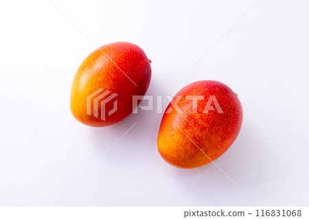 芒果切 芒果切 116831068