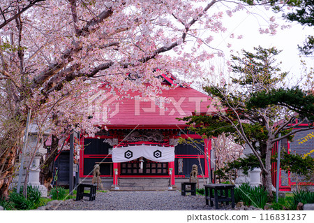 佐倉增毛嚴島神社 116831237