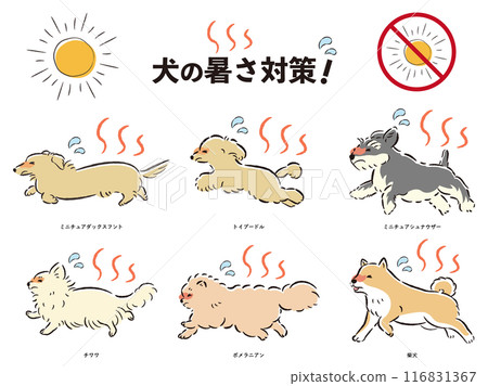Illustration set of dog heat protection measures Illustration set of dog heat protection measures 116831367