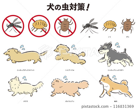 Illustration set of insect control for dogs Illustration set of insect control for dogs 116831369