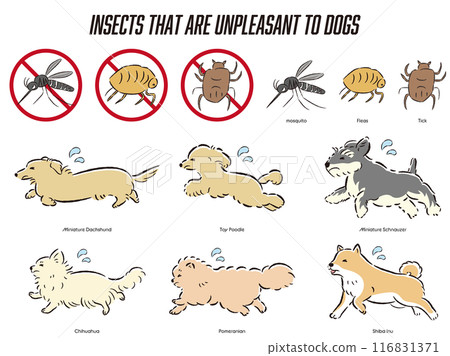Illustration set of insect control for dogs Illustration set of insect control for dogs 116831371