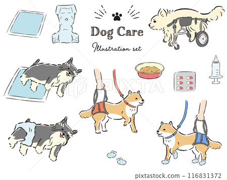 Dog care related illustration set Dog care related illustration set 116831372