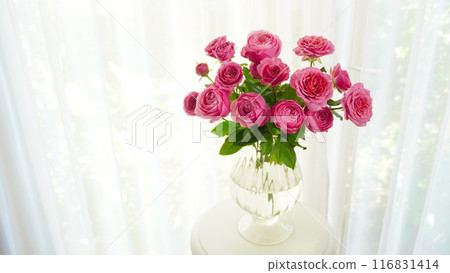 Roses on a windowsill 116831414