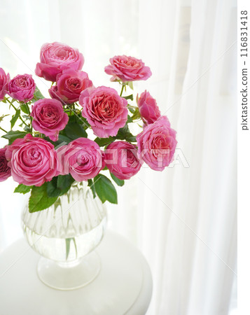 Roses on a windowsill 116831418