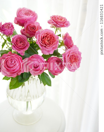 Roses on a windowsill 116831421