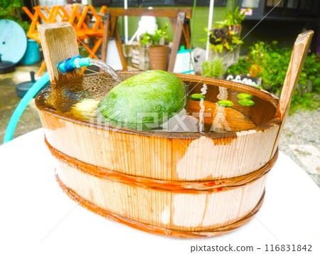Vegetables in a tub 116831842