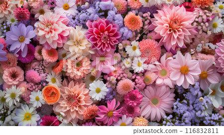 Pastel colored flowers filling the screen, background Pastel colored flowers filling the screen, background 116832811