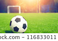 Soccer ball on turf 116833011