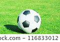 Soccer ball on turf 116833012