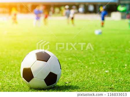 Soccer ball on turf 116833013
