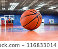 Basketball Arena 116833014