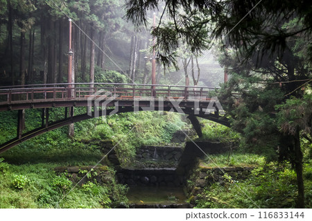 The beautiful vintage walkway from wood in alishan mountain,taiwan. 116833144