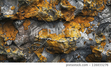 Explore the intricate textures and rich hues of this detailed close-up of rock and lichenD 116833276