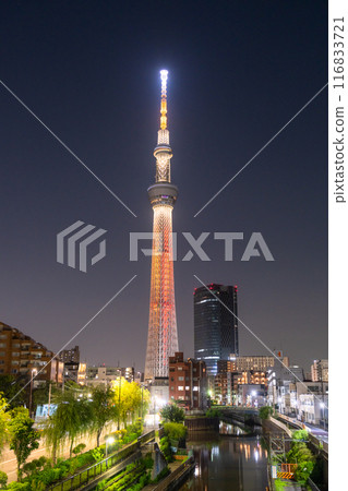 [Tokyo] Night view of Sky Tree 116833721