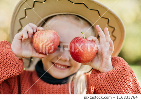 Child picking apples on farm in autumn. Little girl playing in tree orchard. Healthy nutrition. Cute little girl eating red delicious fruit. Harvest Concept. Apple picking. 116833764