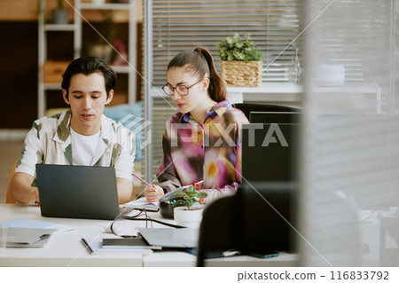 Young Caucasian IT specialists coding and making notes together in cozy office of leading IT company 116833792
