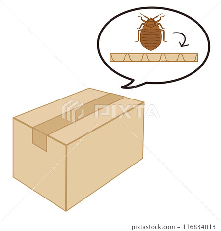 Illustration showing bedbugs hiding in gaps in cardboard 116834013