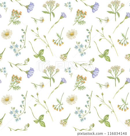 Seamless watercolor pattern with wildflowers of chamomile, flax, yarrow, forget-me-not, tansy. The pattern is suitable for delicate wallpapers, textiles, clothes, backgrounds Seamless watercolor pattern with wildflowers of chamomile, flax, yarrow, forget-me-not, tansy. The pattern is suitable for delicate wallpapers, textiles, clothes, backgrounds 116834148