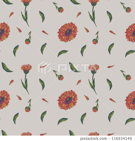 Seamless pattern of calendula flowers. Watercolor pattern, hand-painted. Stylized retro, for prints on fabric, wallpaper, wrapping paper, tea packaging, cosmetics. Seamless pattern of calendula flowers. Watercolor pattern, hand-painted. Stylized retro, for prints on fabric, wallpaper, wrapping paper, tea packaging, cosmetics. 116834149