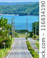 Downhill with a view of the ocean① 116834190