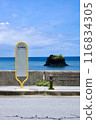 bus stop with sea view 116834305
