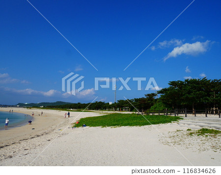 沖繩縣宇流麻市濱比嘉島海灘 116834626