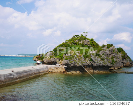 沖繩縣宇流麻市天中濱比嘉島 116834627