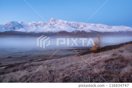 Autumn misty morning on mountain plateau. Autumn misty morning on mountain plateau. 116834747