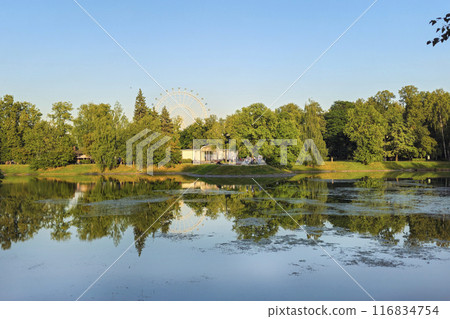 Ferris wheel and reflections of trees in a pond. Ferris wheel and reflections of trees in a pond. 116834754