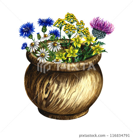 Wildflowers in a wooden pot. Rustic still life. A hand-drawn watercolor illustration. Isolate. For packaging, labels, layout of banners, flyers and postcards. Wildflowers in a wooden pot. Rustic still life. A hand-drawn watercolor illustration. Isolate. For packaging, labels, layout of banners, flyers and postcards. 116834791