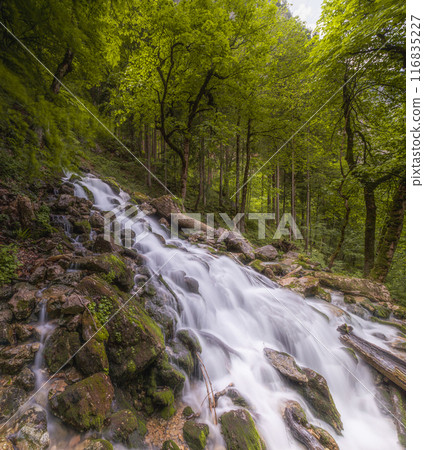 Rothbach Waterfall near Konigssee lake in Berchtesgaden National Park, Germany 116835227